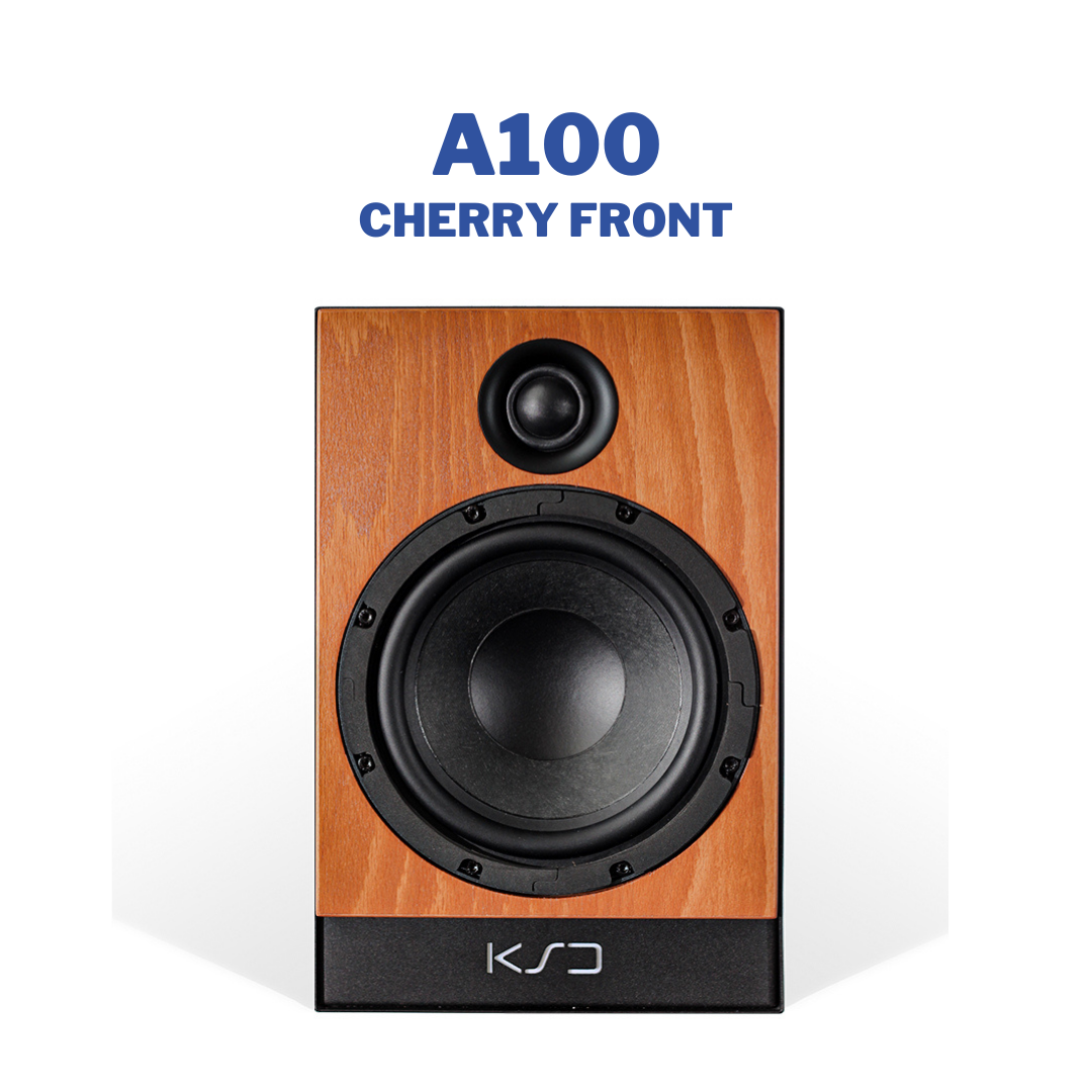 A100 – 8" Nah-/Mittelfeld-2-Wege-Monitor