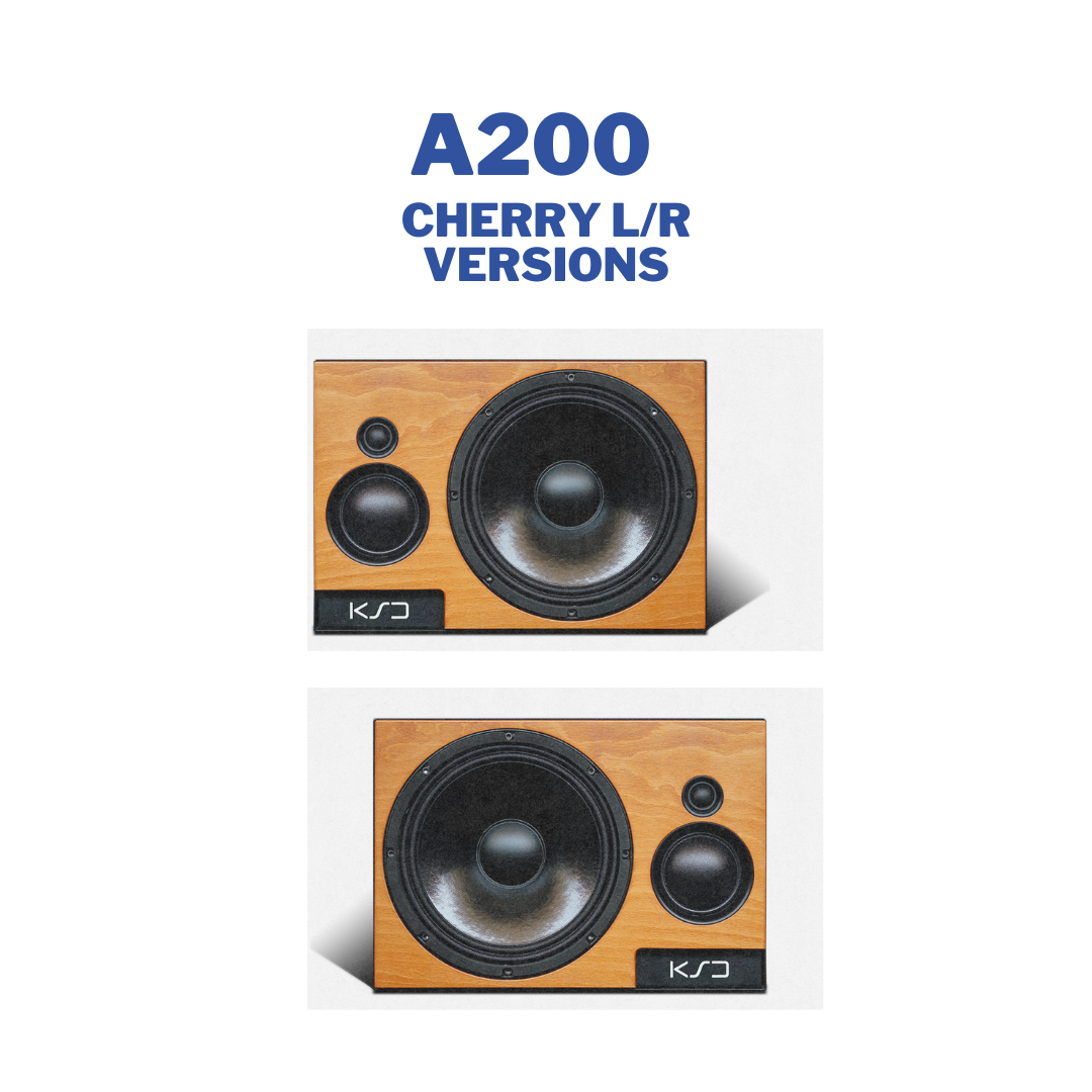 A200 - Moniteur de champ proche/milieu 10"