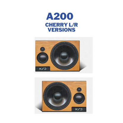 A200 - Moniteur de champ proche/milieu 10"