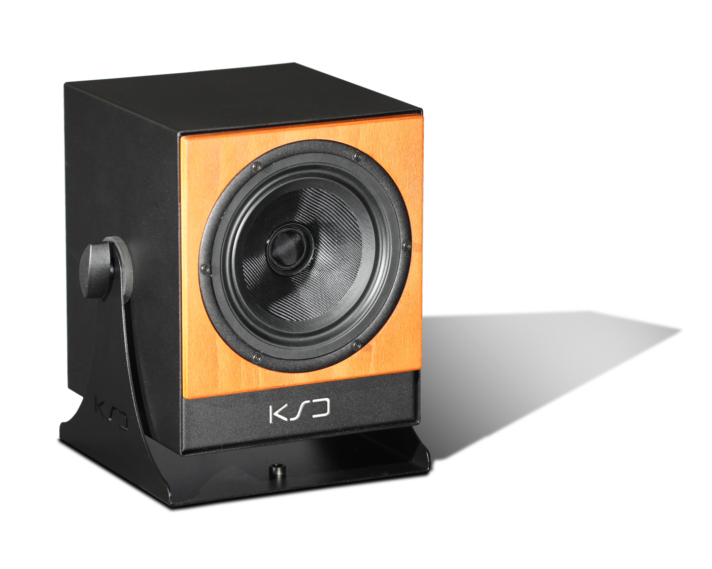 C5 Reference - Coaxial Monitor