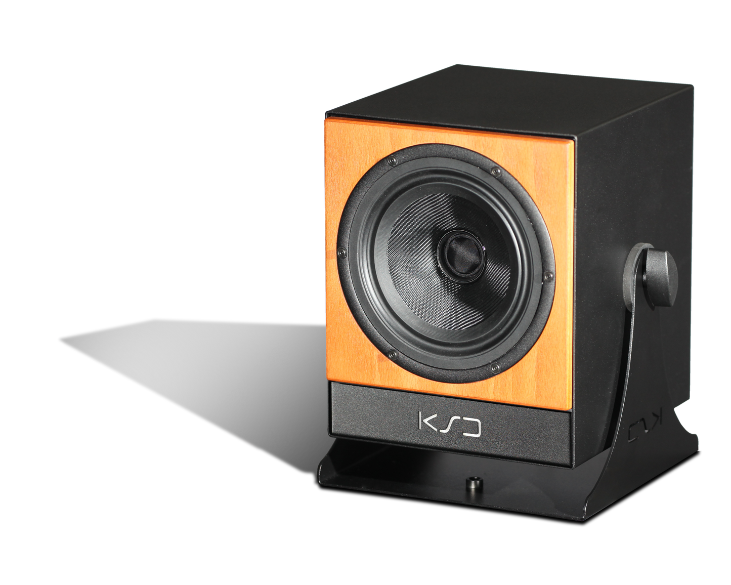 C5 Reference - Coaxial Monitor