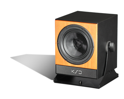 C5 Reference - Coaxial Monitor