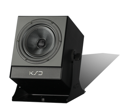 C5 Reference - Coaxial Monitor