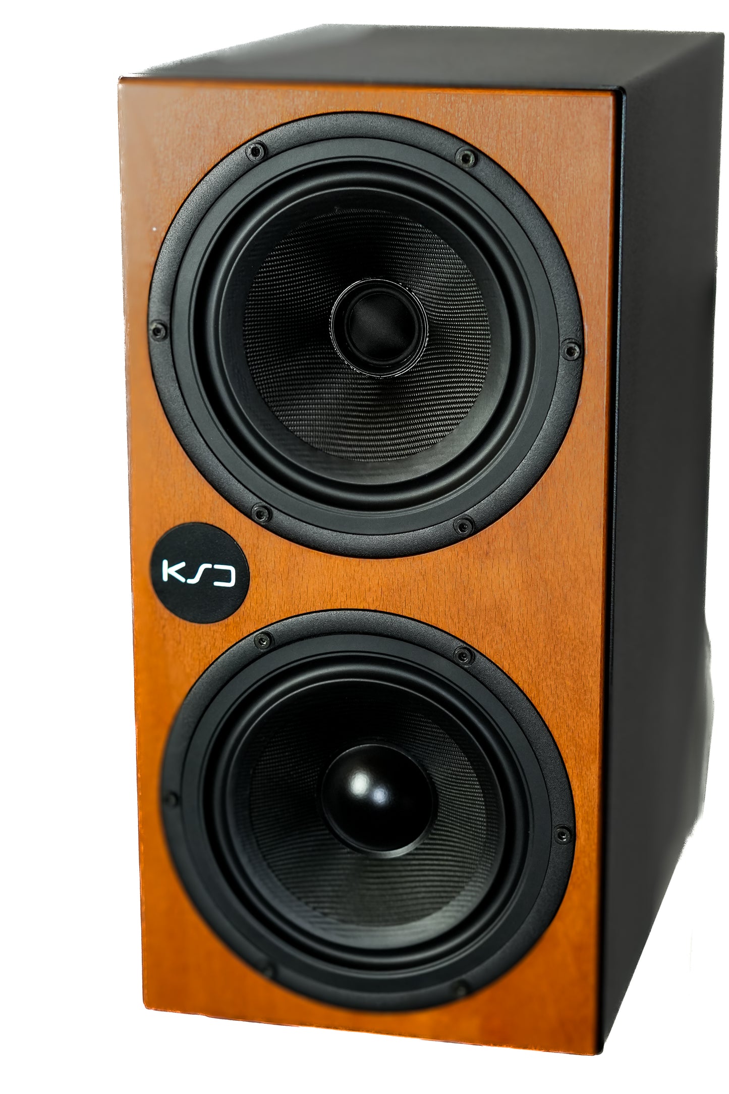 C55 Reference - 2.5-way Coaxial Monitor